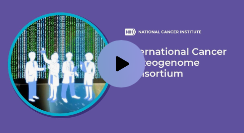 The International Cancer Proteogenome Consortium