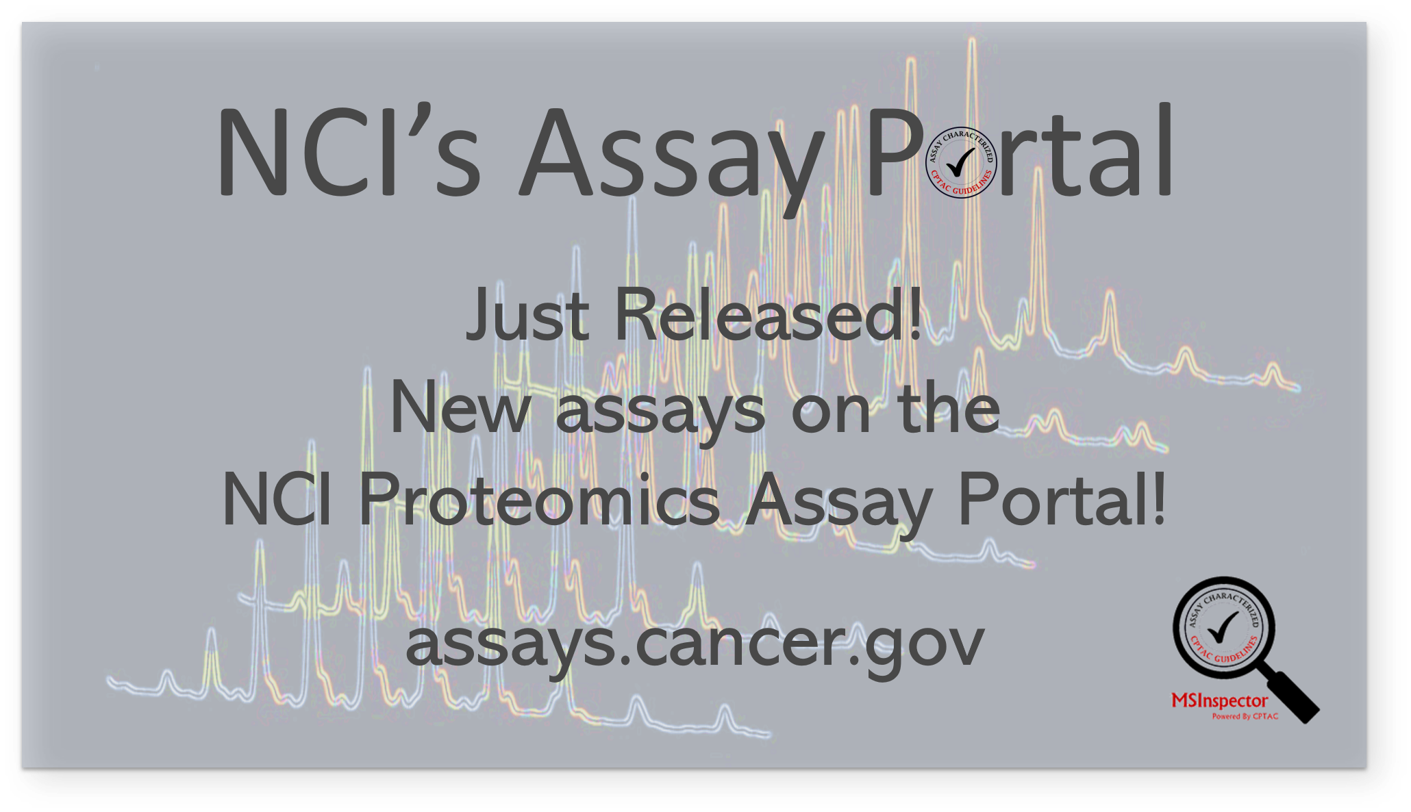 Assay Portal