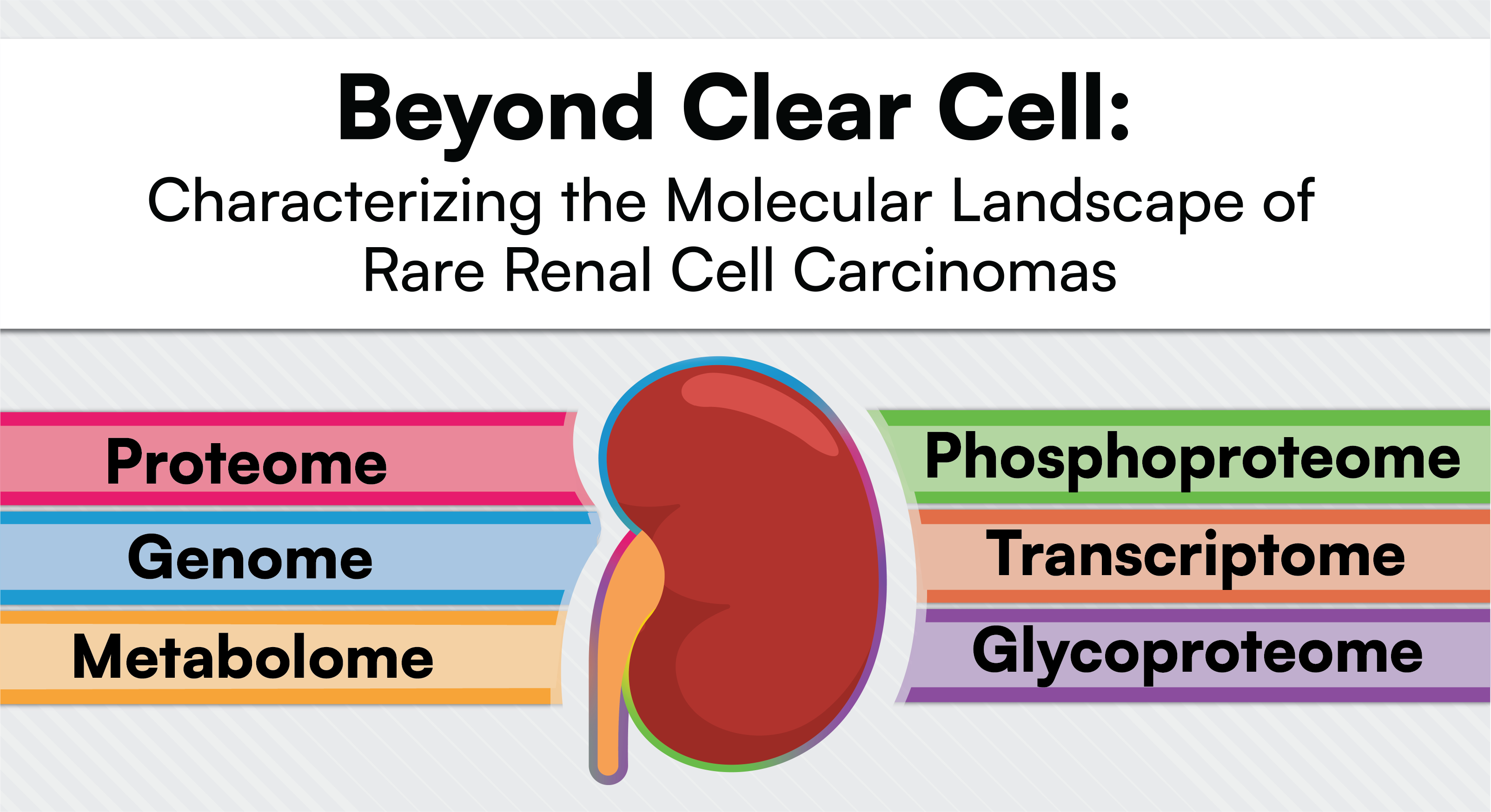 Colorful representation of 6 data types and an illustration of a kidney