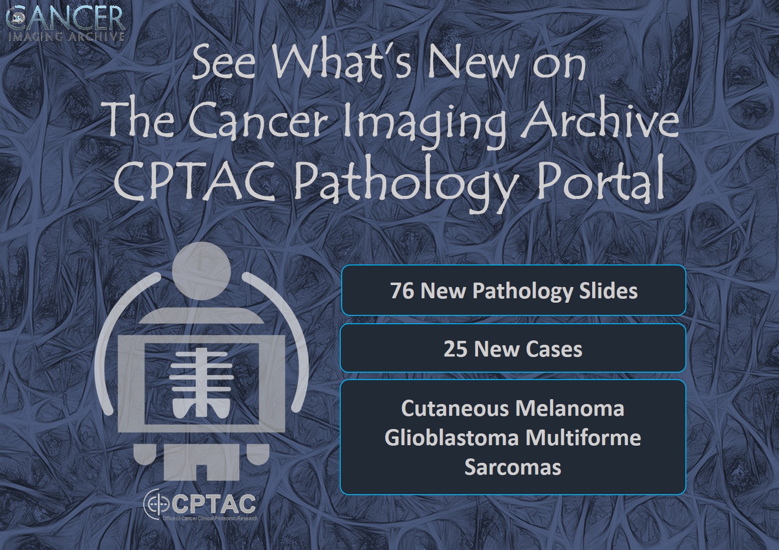 CPTAC Pathology Portal