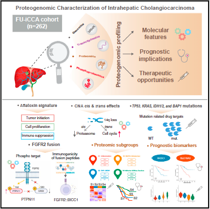 Infographic: Proteogenomic Characterization of Intrahepatic Cholangiocarcinoma
