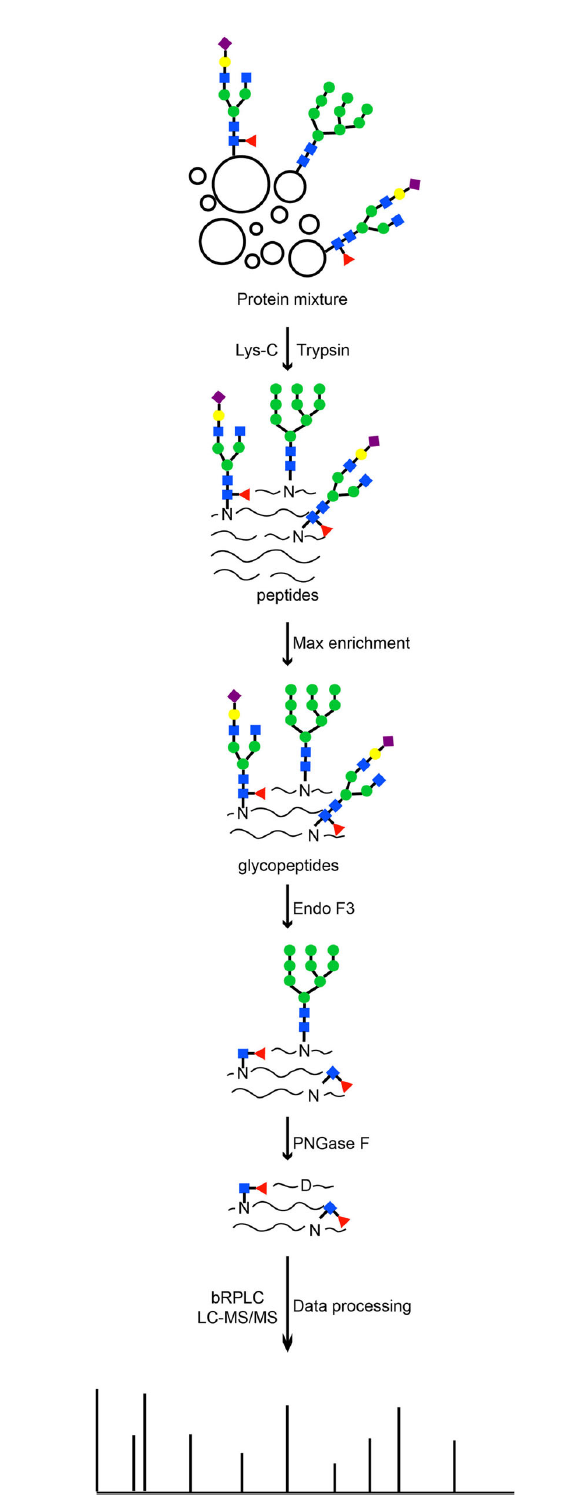 Schematic diagram of the STAGE method workflow