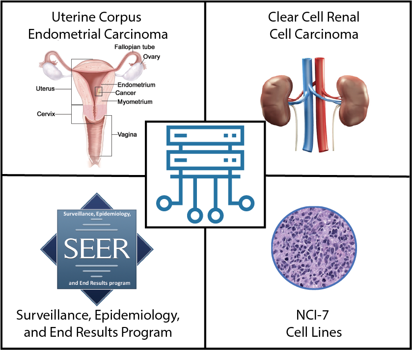 CPTAC Releases UCEC, ccRCC Discovery Data and Other Study Datasets