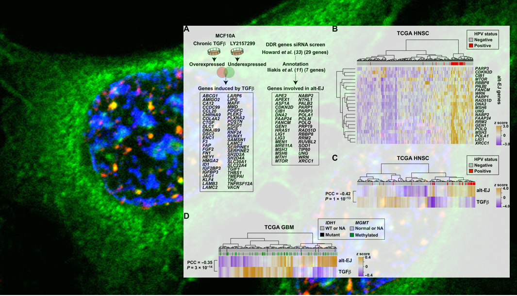 Science Translational Med article