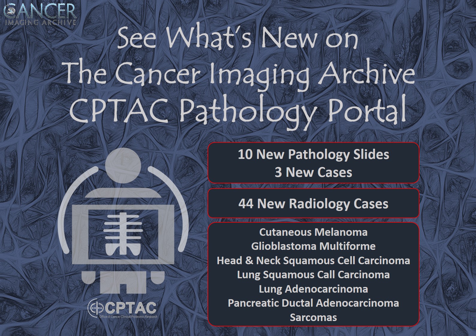 The Cancer Imaging Archive CPTAC Pathology Release