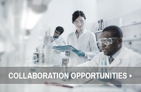 Collaboration Opportunities