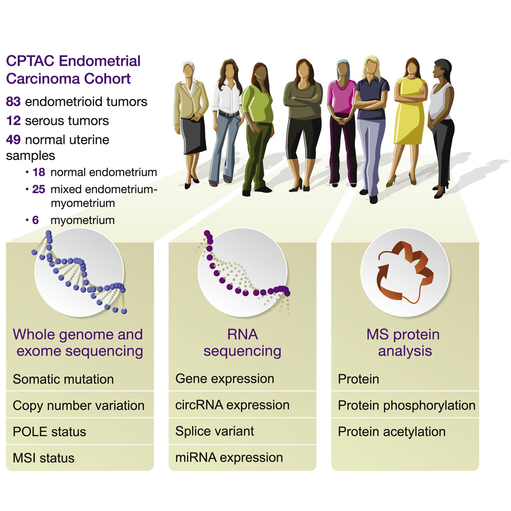 new research for endometrial cancer