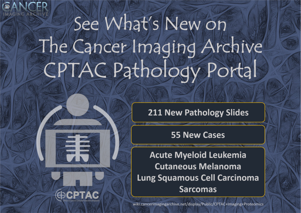 TCIA CPTAC Pathology Portal
